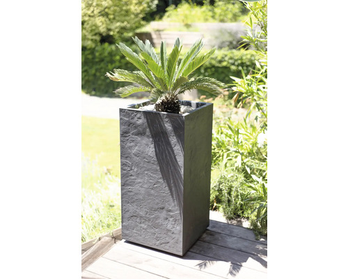 Jardiniere cu planta ornamentală în grădină