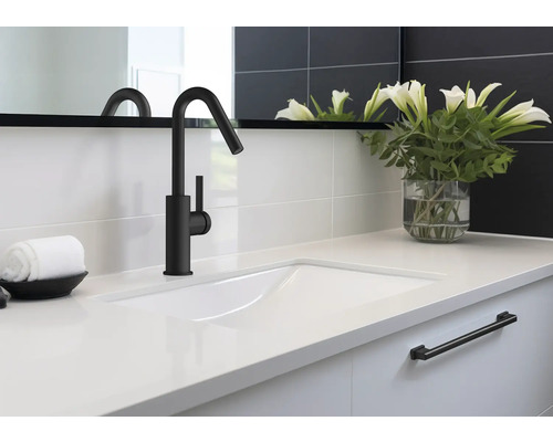 Chiuvetă cu robinet negru, blat alb și decor în baie