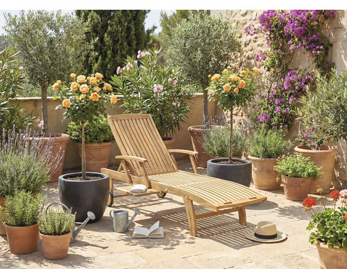 Scenă de grădină cu șezlong din lemn, plante în ghivece și elemente decorative pentru exterior