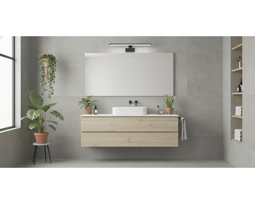 Baie modernă cu lavoar, oglindă, plante și rafturi
