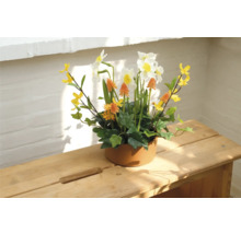 Aranjament floral decorativ cu narcise în ghiveci ceramic pe masă de lemn