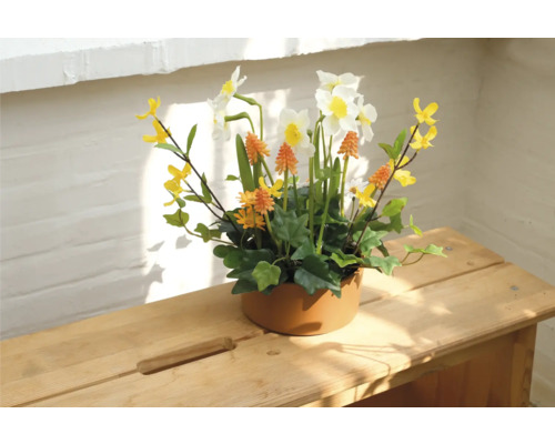 Aranjament floral decorativ cu narcise în ghiveci ceramic pe masă de lemn