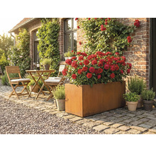 Scenă de grădină cu o jardinieră metalică rectangulară plantată cu trandafiri roșii și un grup de relaxare cu o masă și scaune pe o terasă în fața unei case.