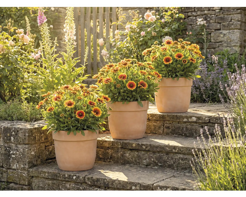 Ghiveci Lafiora Big Pot teracotă, Ø 26 cm, h 21 cm, 6 l, | HORNBACH