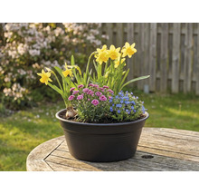 Aranjament floral cu narcise, garoafe și nu-mă-uita într-un ghiveci pe o masă de lemn