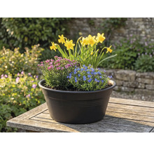 Aranjament floral cu narcise, flori albastre și roz într-un ghiveci pe o masă afară