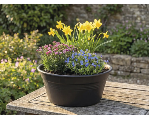 Aranjament floral cu narcise, flori albastre și roz într-un ghiveci pe o masă afară