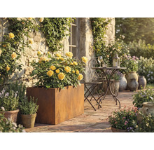 Scenă de terasă cu trandafiri galbeni într-un ghiveci metalic, masă și scaun metalice