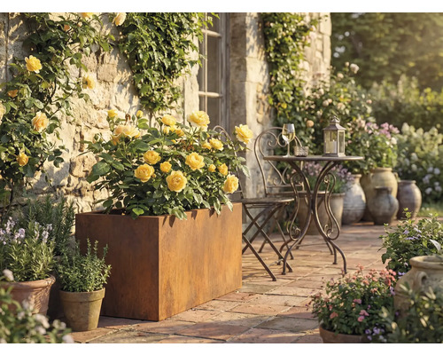 Scenă de terasă cu trandafiri galbeni într-un ghiveci metalic, masă și scaun metalice