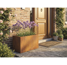 Scenă cu o jardinieră metalică dreptunghiulară și ceapă ornamentală violetă în fața unei uși de intrare.