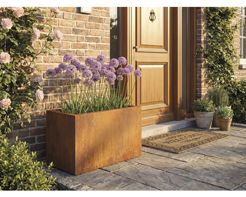 Scenă cu o jardinieră metalică dreptunghiulară și ceapă ornamentală violetă în fața unei uși de intrare.