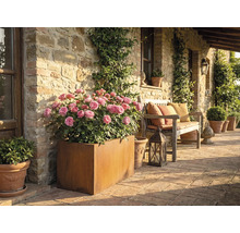 Terasa rustică cu trandafiri în jardiniere și o bancă de lemn cu perne.