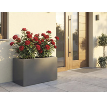 Jardinieră dreptunghiulară cu trandafiri roșii în fața unei case