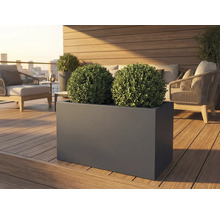 Jardinieră dreptunghiulară cu două bile de buxus pe o terasă