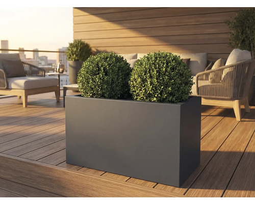 Jardinieră dreptunghiulară cu două bile de buxus pe o terasă
