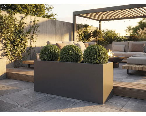 Exterior cu jardiniere dreptunghiulare închise la culoare care conțin trei plante sferice pe o terasă de piatră