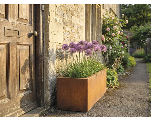 Jardinieră dreptunghiulară metalică cu ceapă decorativă lângă o ușă de intrare