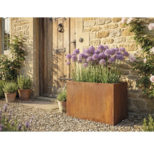 Scenă cu o jardinieră din oțel care conține flori purpurii, în fața unei uși de intrare din lemn.