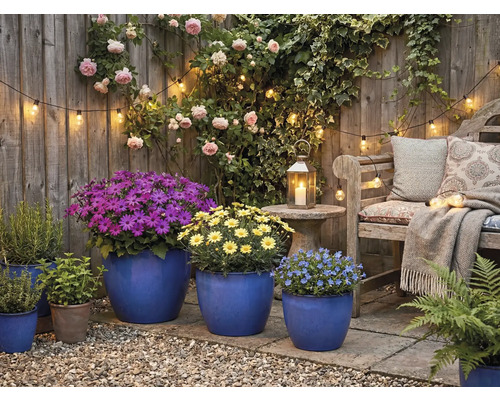 Zonă de grădină decorativă cu mobilier de grădină, plante și iluminat