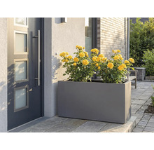 Jardinieră gri cu trandafiri galbeni în fața ușii de la intrare