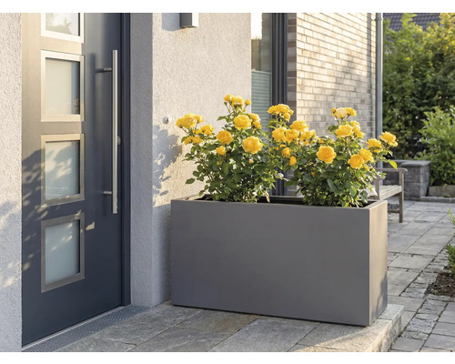 Jardinieră gri cu trandafiri galbeni în fața ușii de la intrare