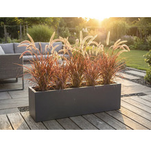 Jardinieră decorativă cu ierburi ornamentale pe o terasă