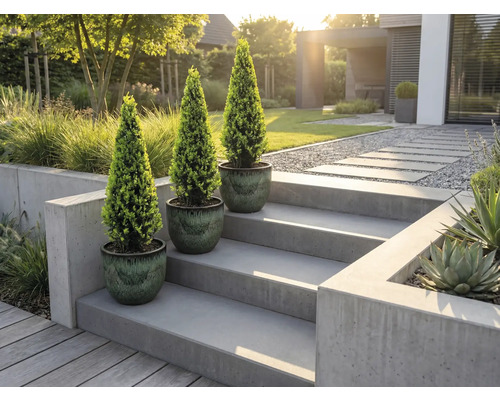 Trei plante în ghiveci pe o scară de beton într-o grădină modernă.
