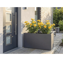 Jardinieră cu trandafiri galbeni în fața unei uși de intrare.