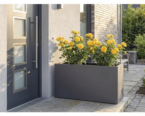 Jardinieră cu trandafiri galbeni în fața unei uși de intrare.