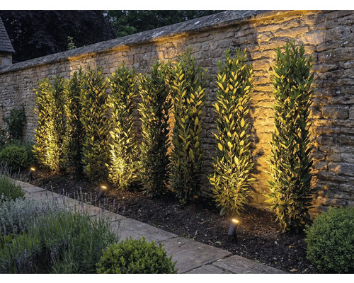 Grădină cu zid de piatră, plante și iluminat exterior