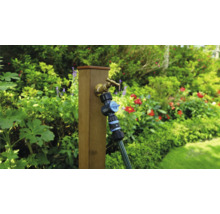 Scenă de grădină cu robinet de apă, distribuitor și furtun pe un stâlp de lemn