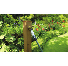 Scenă de grădină cu robinet și furtun de grădină pe un stâlp de lemn