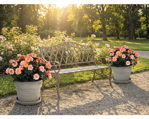 Scenă cu bancă de grădină și ghivece de flori afară