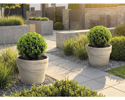 Grădină amenajată cu jardiniere și plăci de trotuar