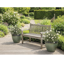 Peisaj de grădină cu bănci de lemn și margarete în jardiniere.