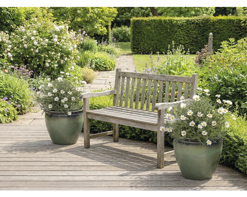 Peisaj de grădină cu bănci de lemn și margarete în jardiniere.