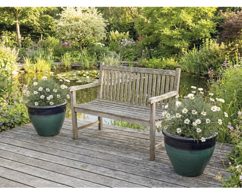 Scenă de grădină cu bancă de lemn, iaz și plante în ghivece pe terasă de lemn