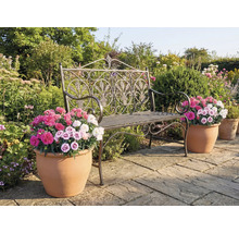 Scenă de grădină cu o bancă decorativă din metal și ghivece de flori cu flori colorate