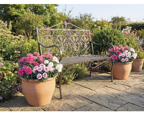 Scenă de grădină cu o bancă decorativă din metal și ghivece de flori cu flori colorate