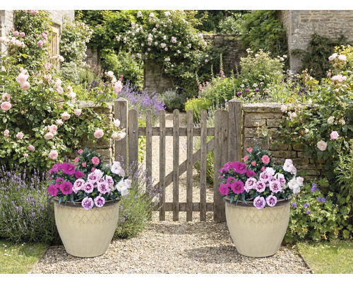 Scenă de grădină cu două ghivece plantate și poartă din lemn