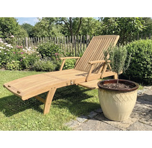 Șezlong de grădină din lemn lângă un ghiveci cu o plantă în grădină