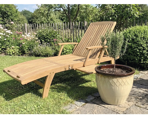 Șezlong de grădină din lemn lângă un ghiveci cu o plantă în grădină