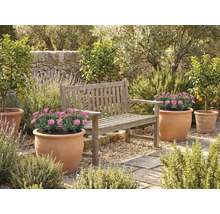 Zonă de grădină cu bancă de lemn și ghivece de flori