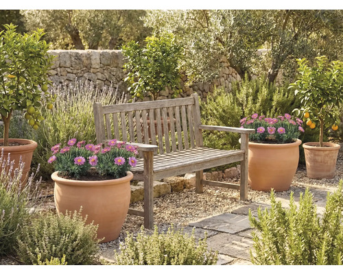 Zonă de grădină cu bancă de lemn și ghivece de flori