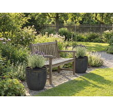 Peisaj de grădină cu bancă de lemn și plante în jardiniere texturate