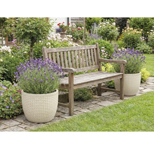 Grădină cu bancă de lemn și lavandă în ghivece