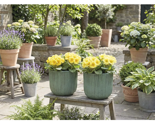 Scenă decorativă de grădină cu flori galbene în jardiniere