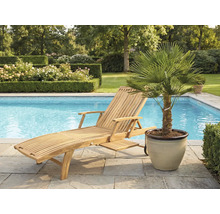 Șezlong din lemn lângă o piscină și un palmier în ghiveci