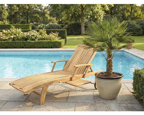 Șezlong din lemn lângă o piscină și un palmier în ghiveci