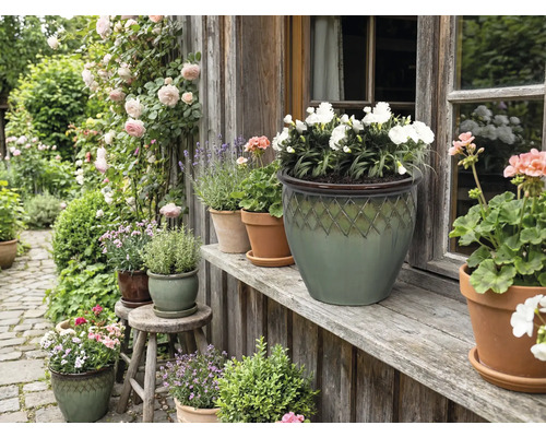 Grădină decorativă cu flori și plante în ghivece în fața unei case.